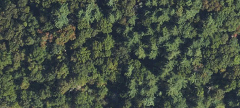 Spruce Pine, NC 28777
