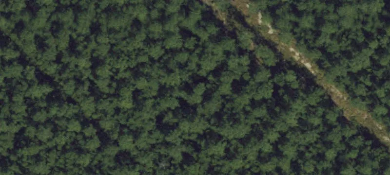 Scranton, NC 27875