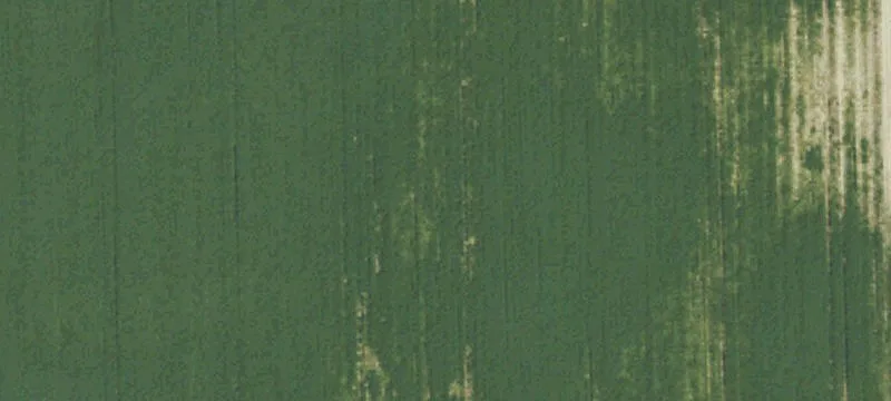 1655 Us Hwy 264a