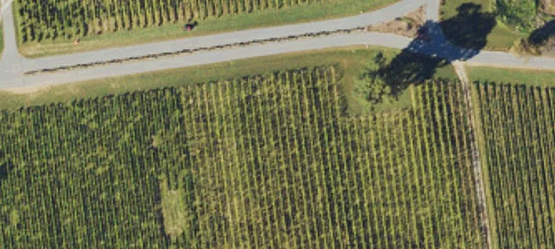 450 Groce Rd