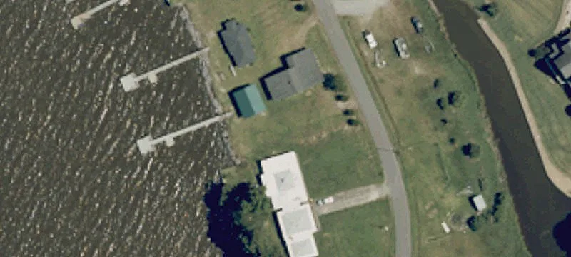 Whitehat Rd