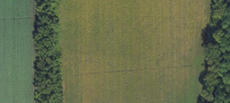 Engelhard, NC 27824