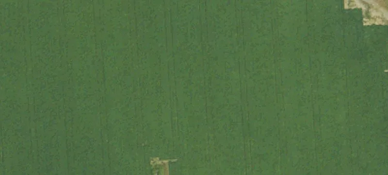 126 Early Rd