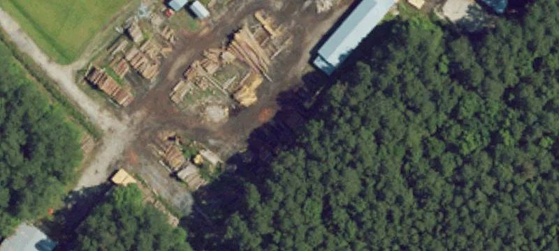 338 Pocosin Rd