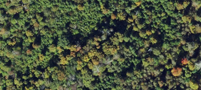 Todd, NC 28684