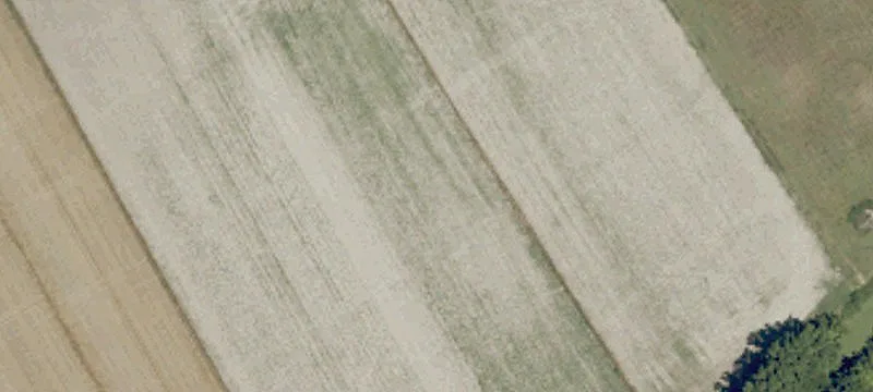 Wood Us 17