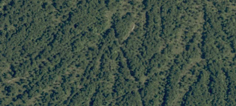 Near Parkers Ln