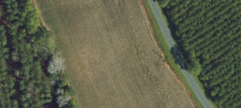 1509 Charles Taylor Rd