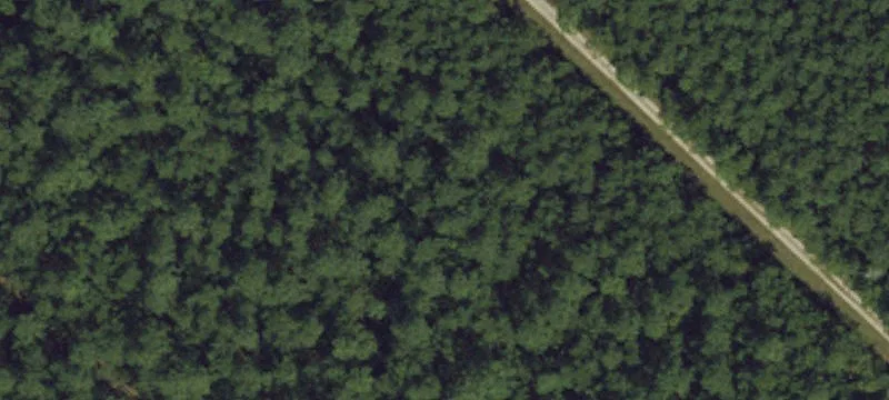 Scranton, NC 27875