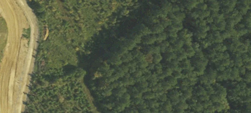2226 Republican Rd
