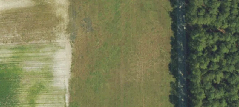 Poplar Pt Rd