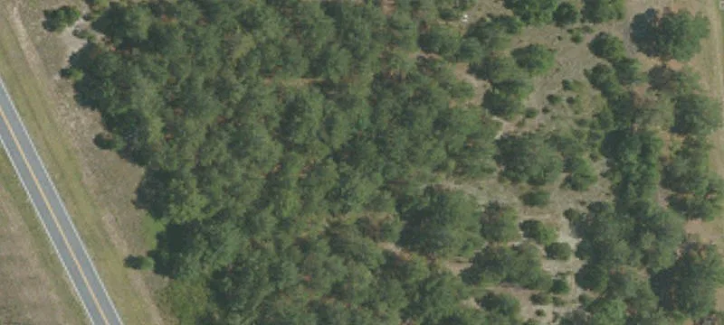 Alt S