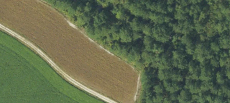 Planters Rd