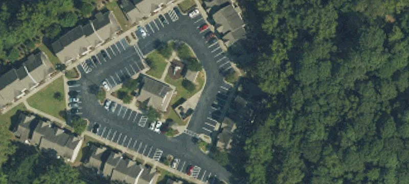 Randall Ln