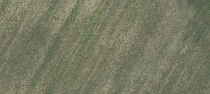 1909 Sweet Home Rd