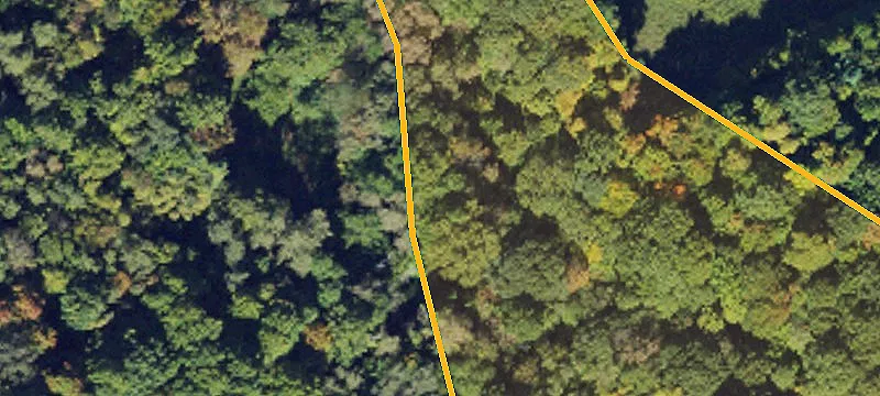 Warrensville, NC 28693