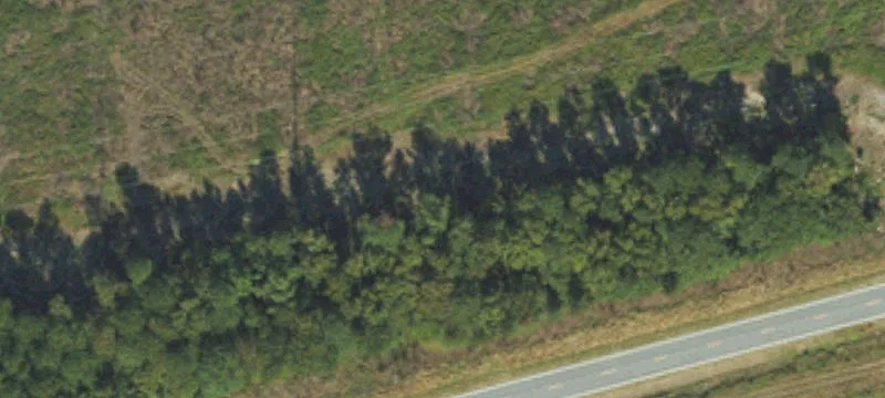 Nc 33