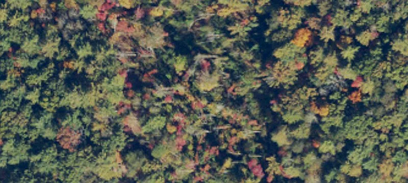 Sparta Rd