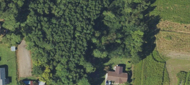490 Ad Hinson Rd