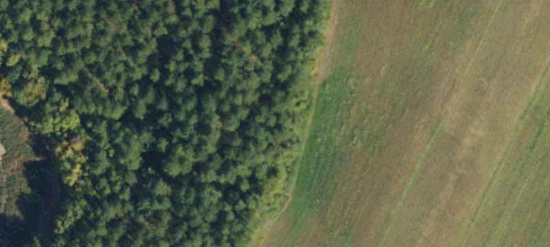 160 Airstrip Rd