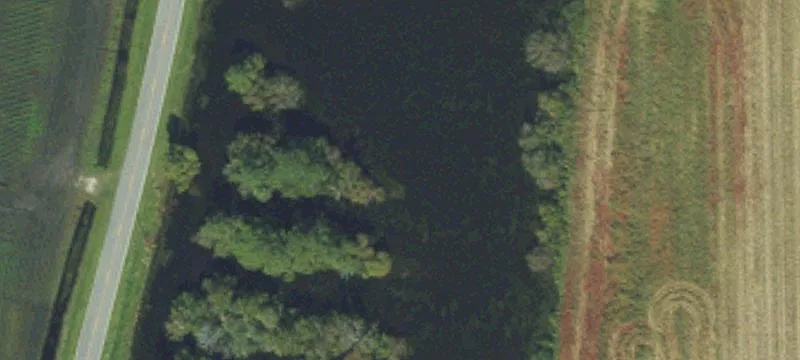 447 Juniper Bay Rd