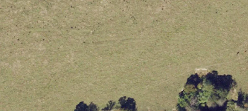205 Shepherds Xrd