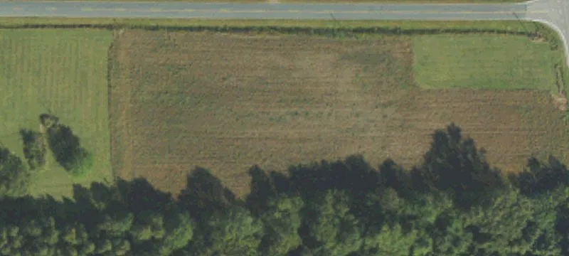 115 Lk Swamp Rd
