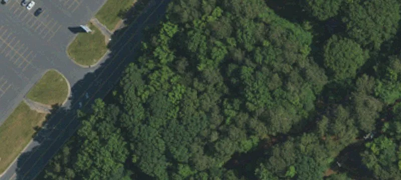 Albemarle Rd
