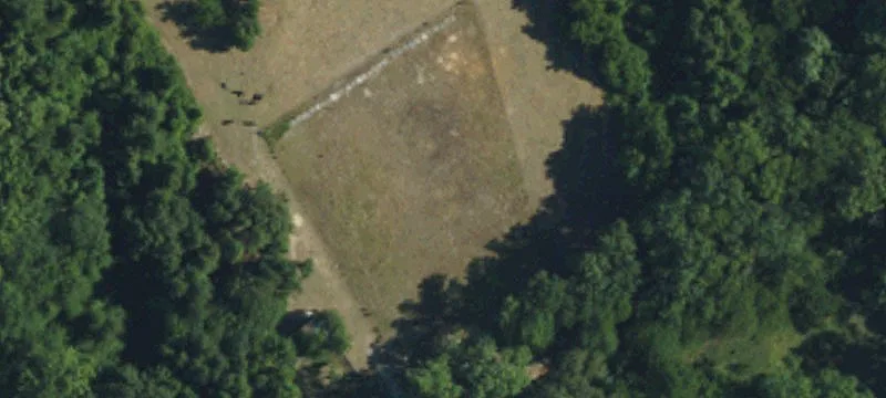 584 Pecan Rd