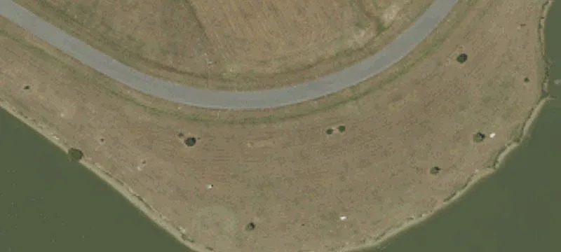 Little Gull Ln