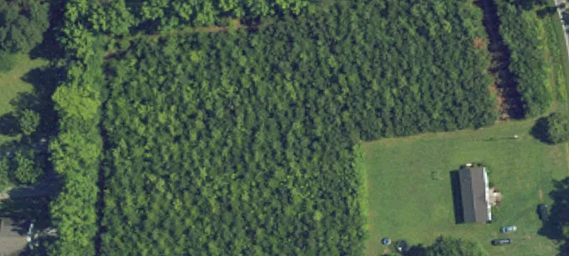 Jerden Thicket Rd