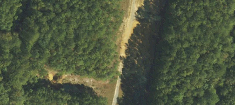 734 Jack Swamp Rd