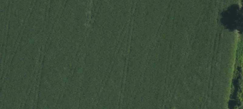 55 Nc Hwy