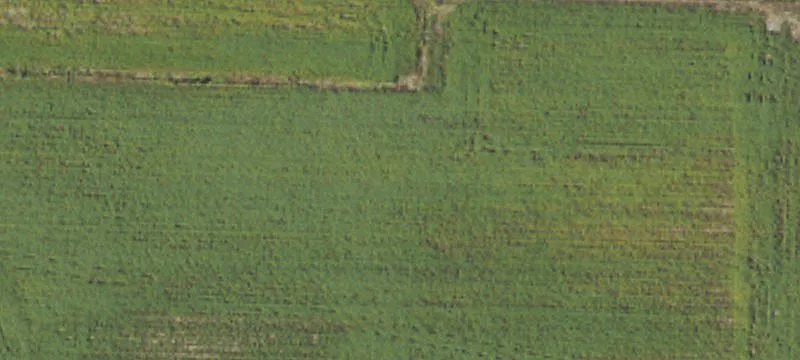 2595 Old Stake Rd Near