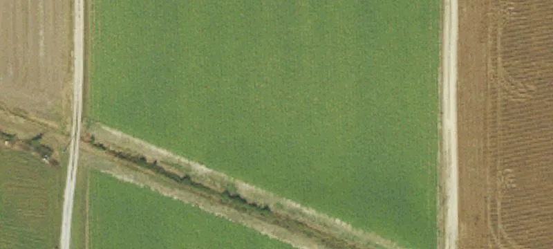 Mayo Farm Rd
