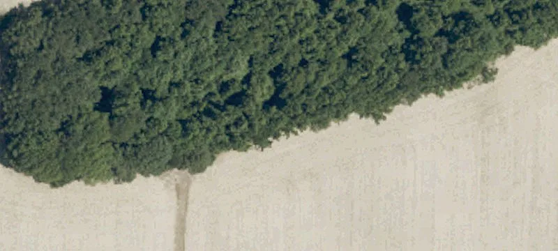 247th Farless Rd