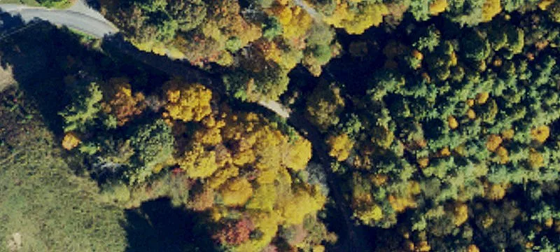 Glendale Springs, NC 28629