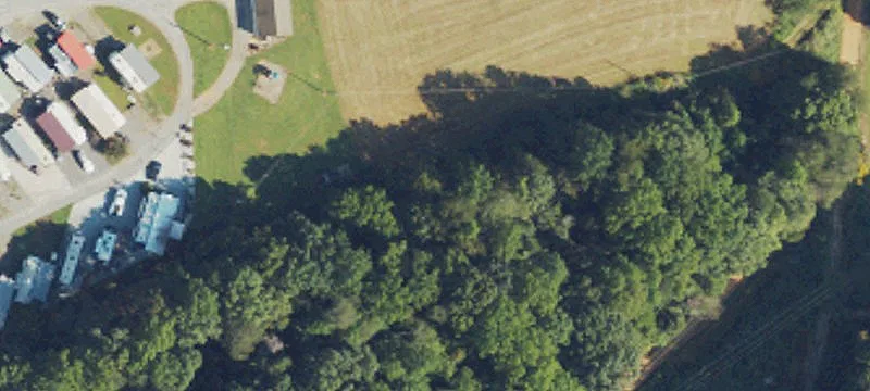 200 Clodpatch Ln