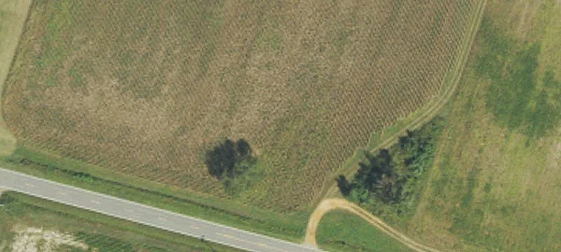 244 Jack Br Rd
