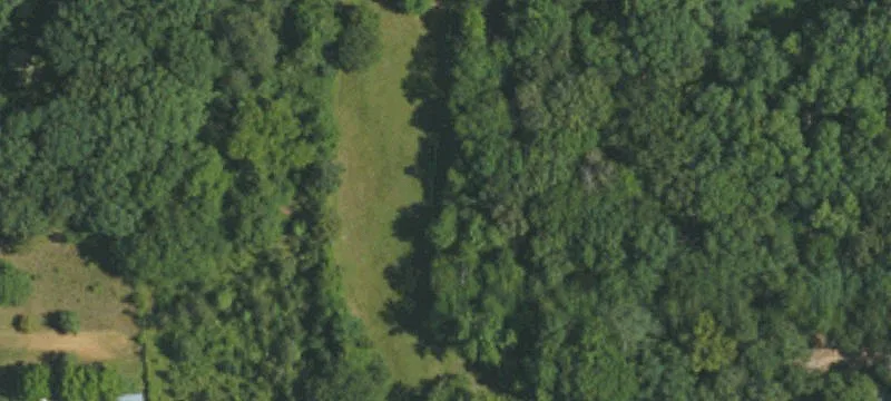 Nc Hwy 51st E
