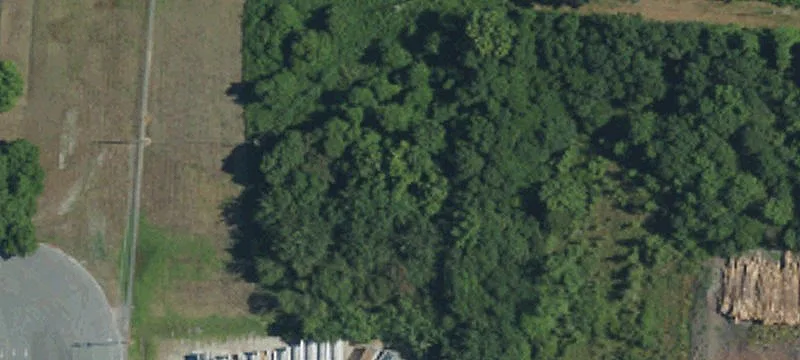 Old Mt Olive Hwy
