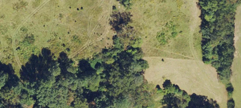 Balsam Grove, NC 28708