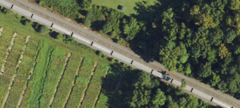 Guy Rd