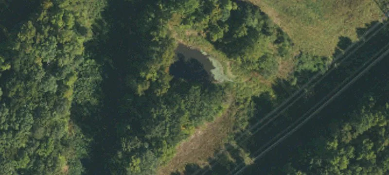 York Rd, NC