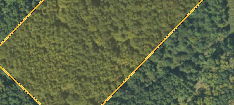 Pineville, NC 28134