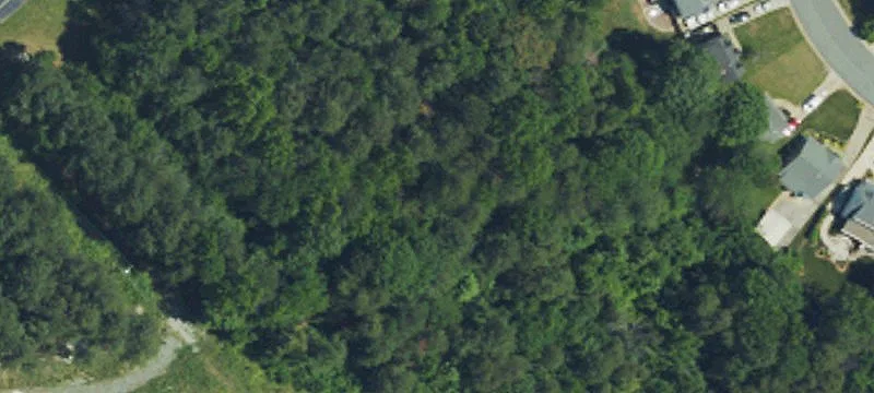 Moran St