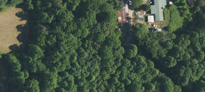 241 J A Hampton Rd