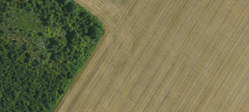 1033 Aycock Dairy Farm Rd