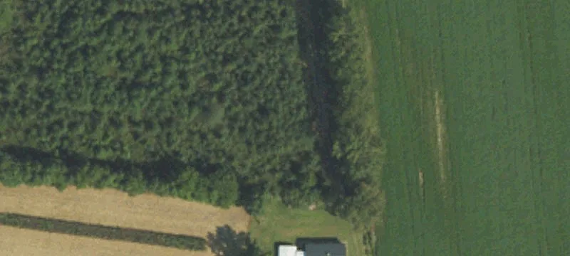 1685 Mark Herring Rd