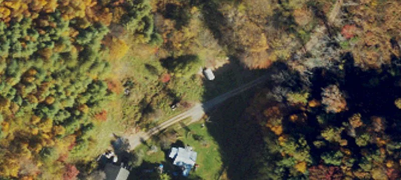 Simons Trout Rd